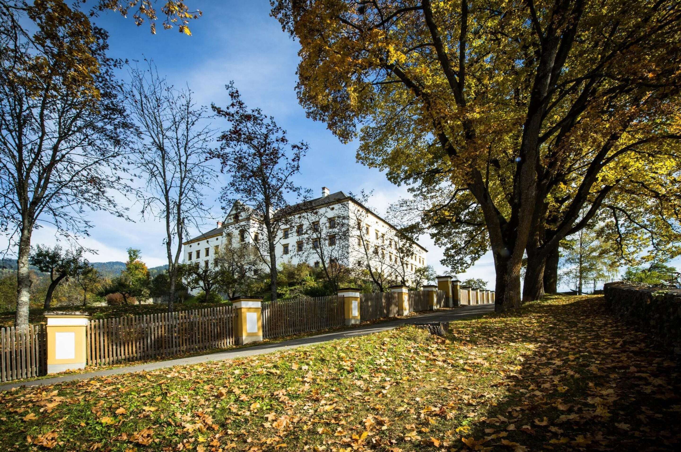 Apartment | Unterkunftsgelände