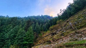 Eine gebirgige Landschaft mit dichtem Wald und einem felsigen Hang.