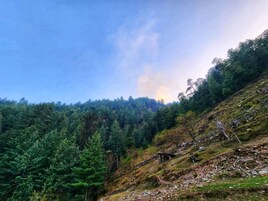 Un paisaje montañoso con bosque denso y un promontorio rocoso.
