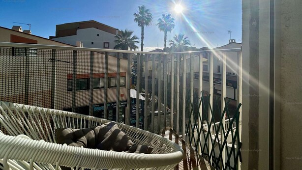 A balcony with a white wicker chair, a mesh screen, and a view of palm trees and buildings under a clear sky. - 2-Room Apartment - Port Center - Cap d'Agde (Cap d'Agde)