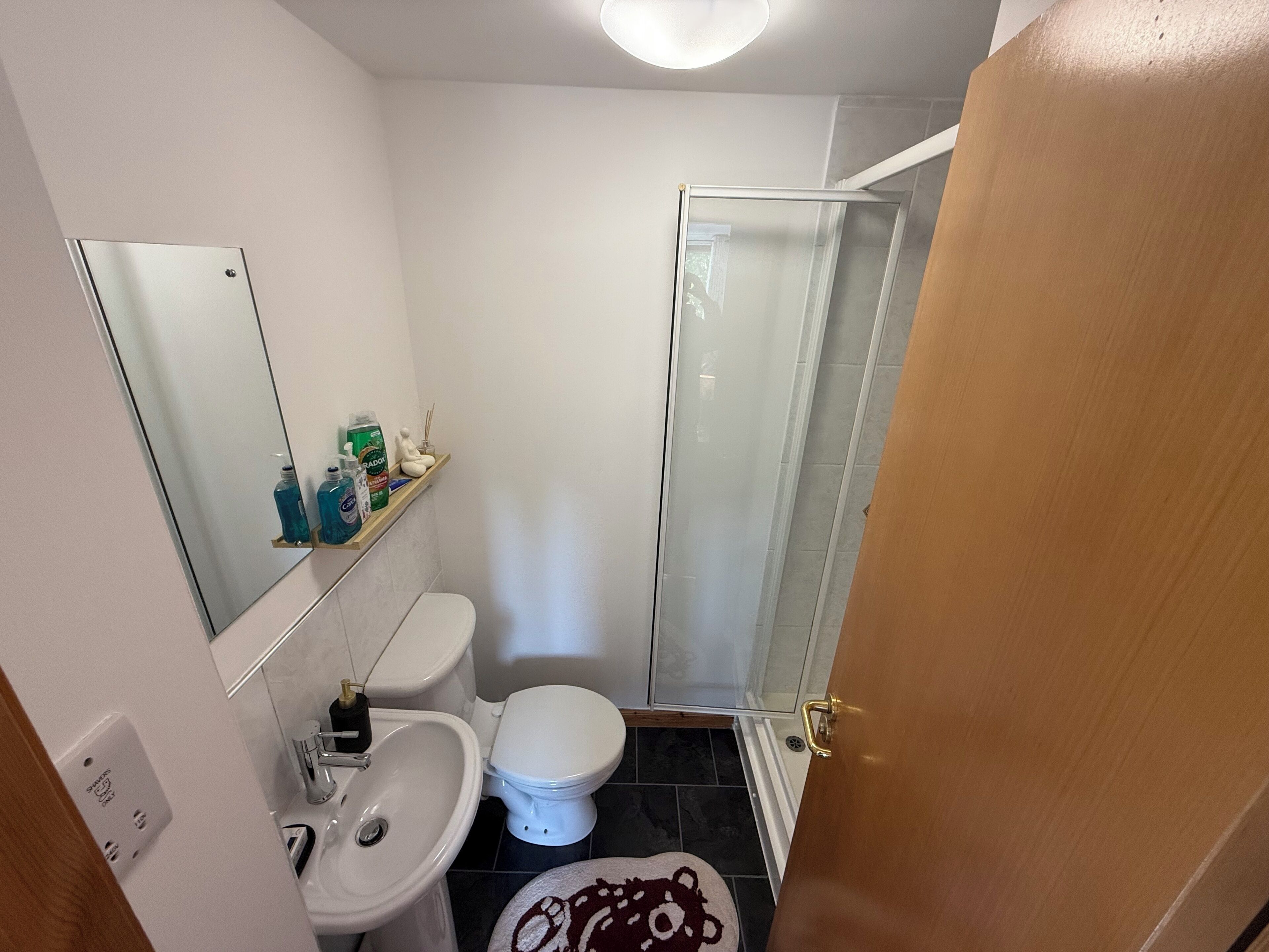 A compact bathroom with a toilet, sink, and glass shower enclosure.