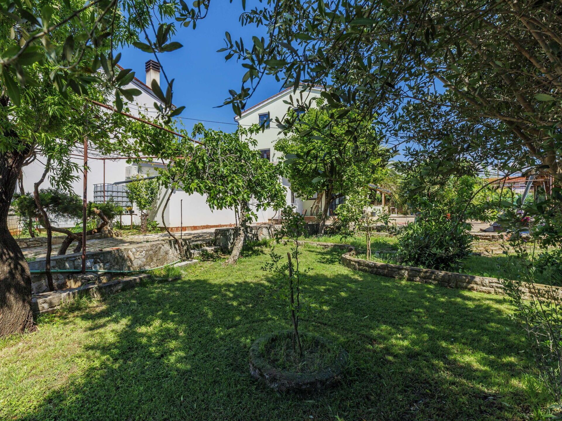 Área da propriedade