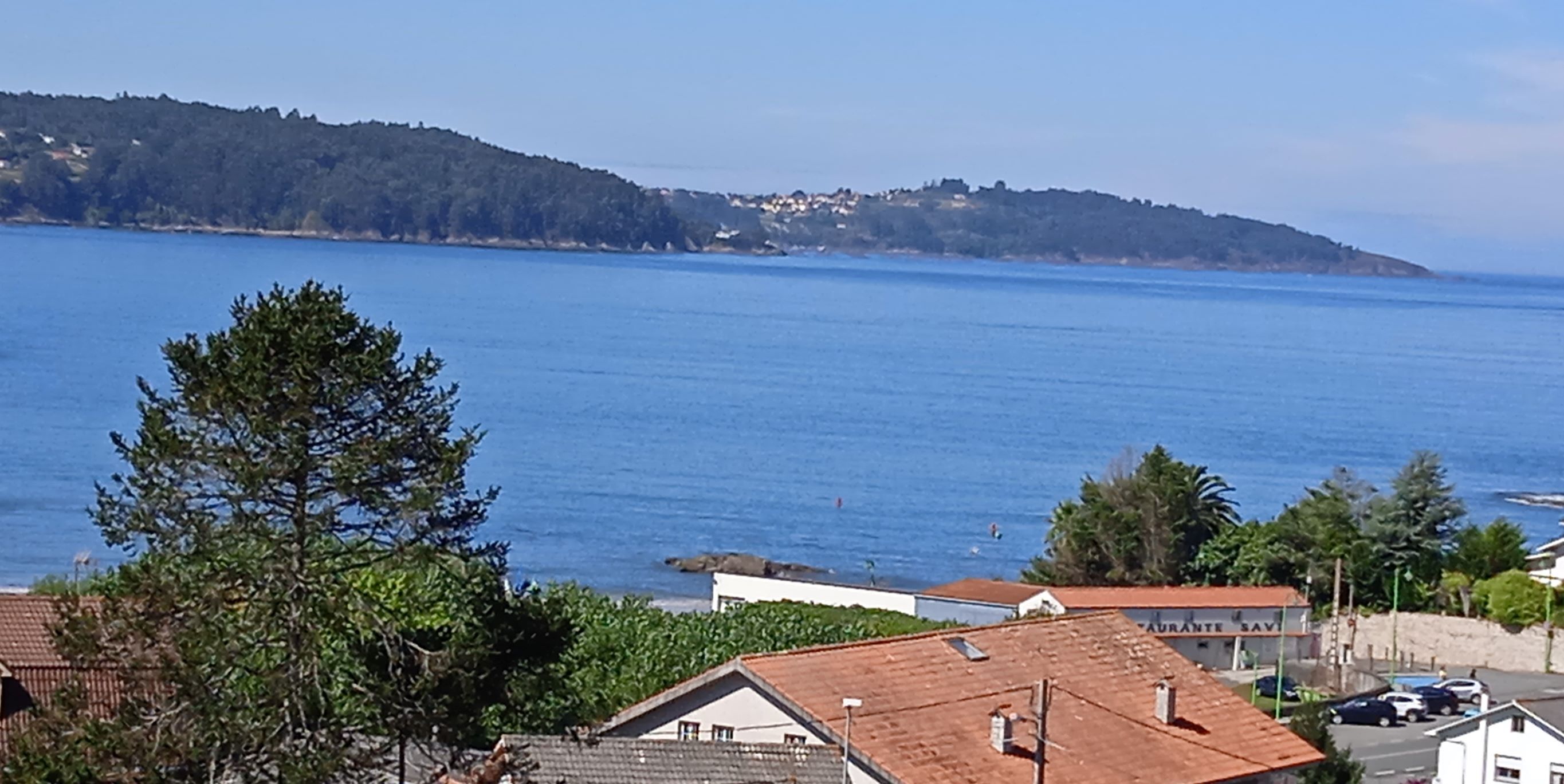Vista costera con mar azul cristalino, un árbol en primer plano y un edificio con techo rojo al fondo.