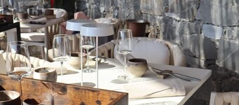 라디치 바이 미키