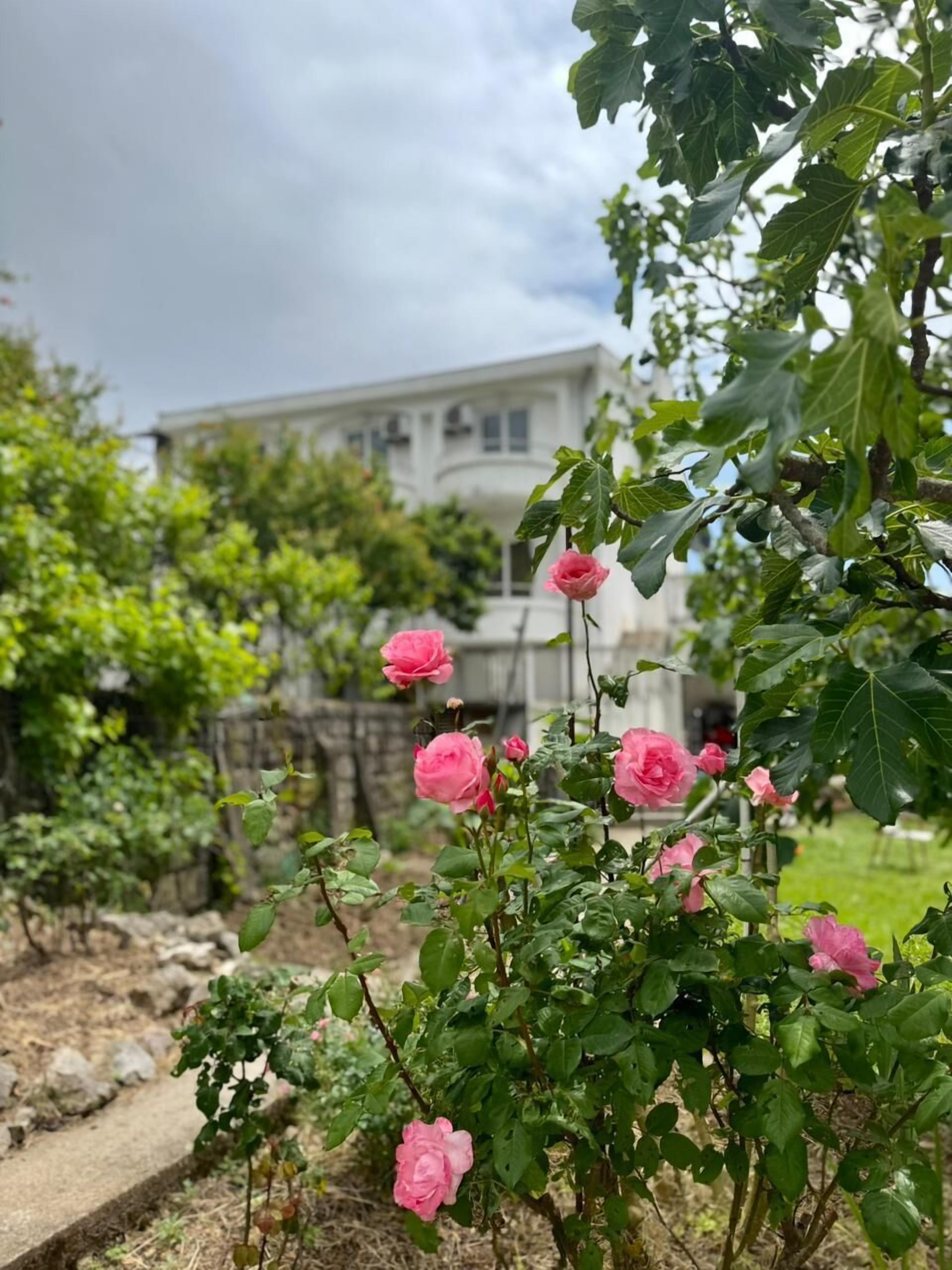 Fachada del alojamiento