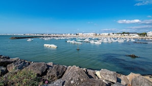 A marina with numerous boats docked, a rocky shoreline in the foreground, and a coastal cityscape in the background.
