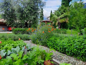 Property grounds - Apartment 'Mohnblume' with Mountain View, Wi-Fi and Air Conditioning (Lagundo)