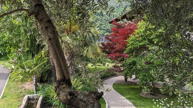 A garden pathway with a curved brick design, surrounded by lush greenery and a variety of plants. - Apartment 'Mohnblume' with Mountain View, Wi-Fi and Air Conditioning (Lagundo)