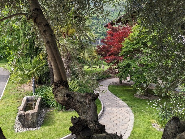 A garden pathway with a curved brick design, surrounded by lush greenery and a variety of plants.