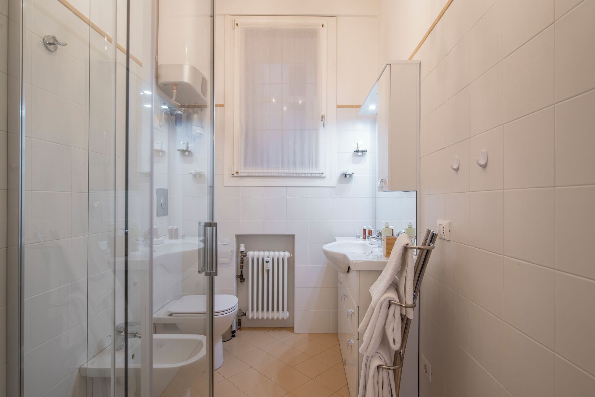Shower, hair dryer, bidet, towels