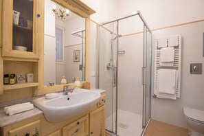 Shower, hair dryer, bidet, towels