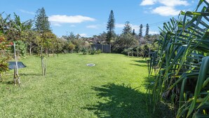 Un césped cuidado con un área de juegos circular, rodeado de diferentes árboles y plantas.