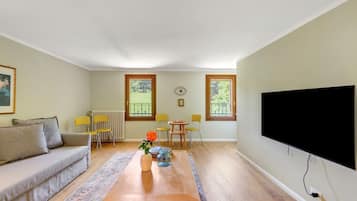 Télévision, cheminée, table de tennis de table