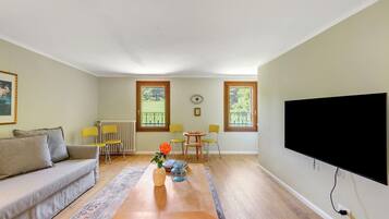 TV, fireplace, table tennis