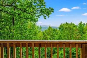 Property grounds - Altitude Adjustment: hot tub•pool table•free tix (Gatlinburg)