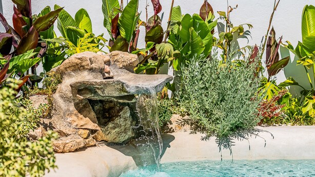 Una piscina con cascada rodeada de abundante vegetación.