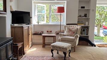 Smart-TV, Kamin