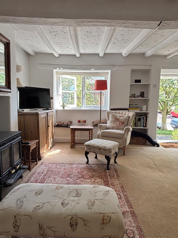 Smart TV, fireplace
