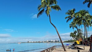 Una playa con un paseo marítimo de madera, palmeras y un horizonte urbano al fondo.