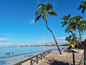 Enjoy a serene coastal stroll along the promenade, lined with palm trees and offering views of the city skyline.