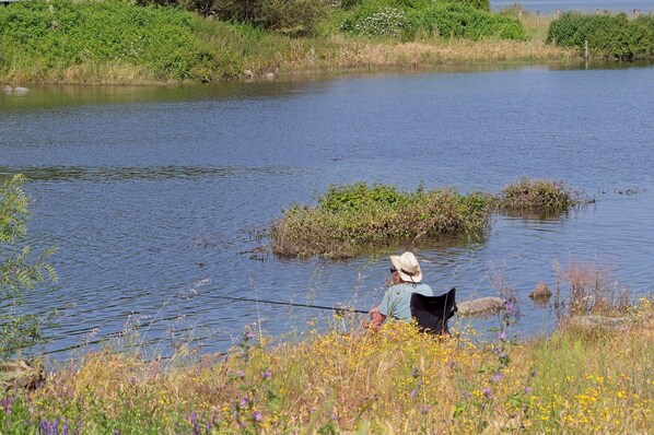 Una persona pescando en un cuerpo de agua tranquilo rodeado de follaje.