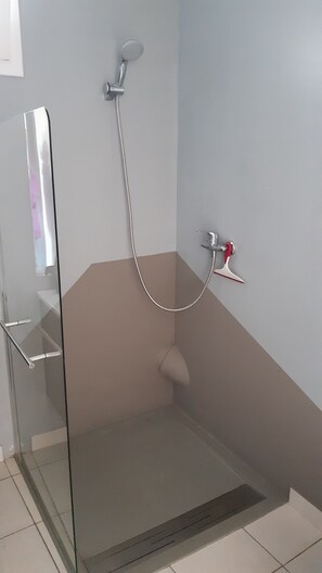Shower, towels, toilet paper
