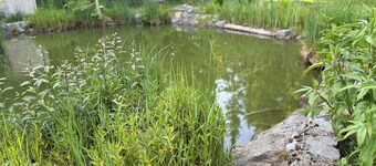 Small country house by the park