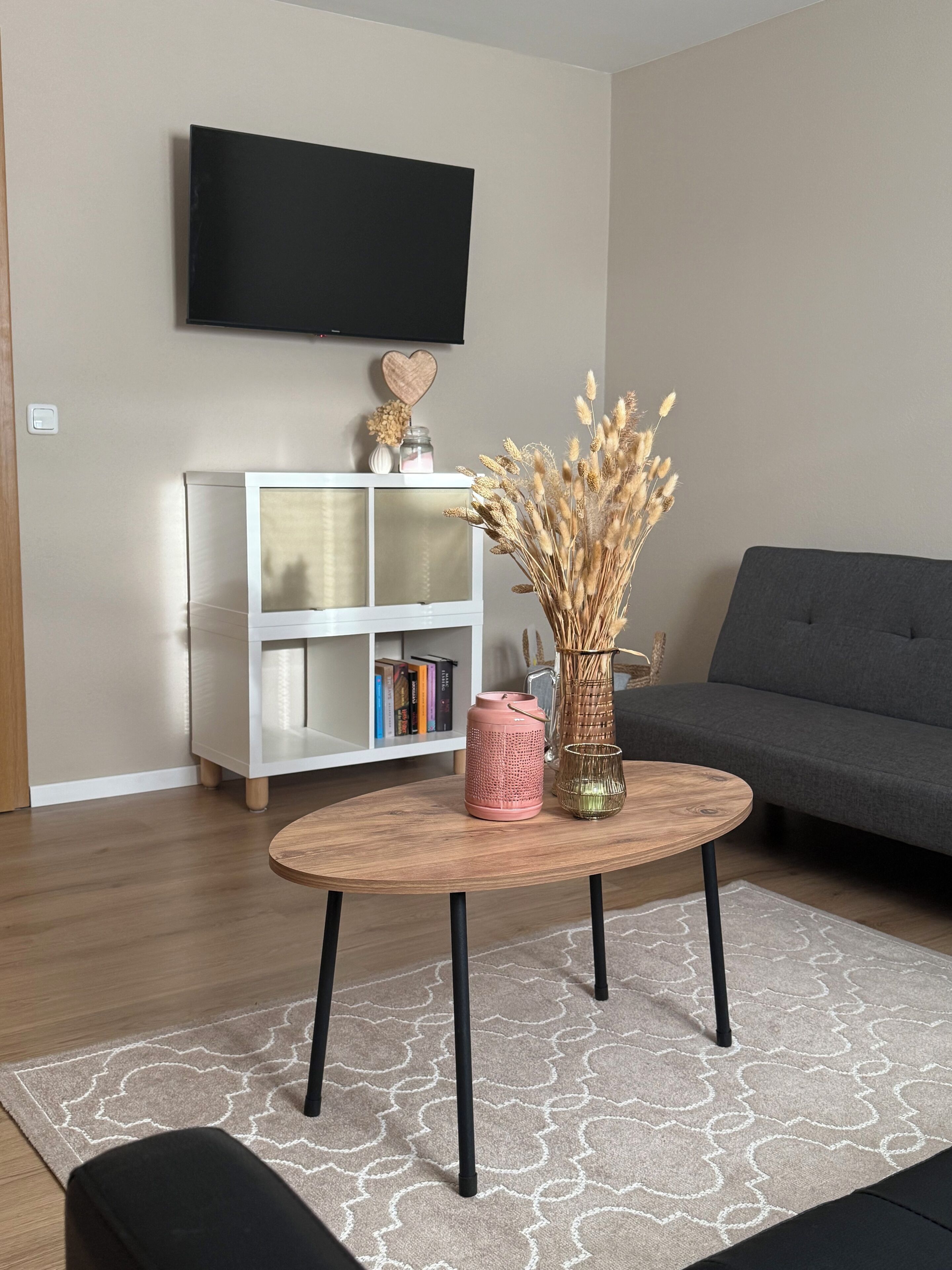 Télévision, table de tennis de table, livres