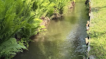 المنطقة المحيطة بالمنشأة