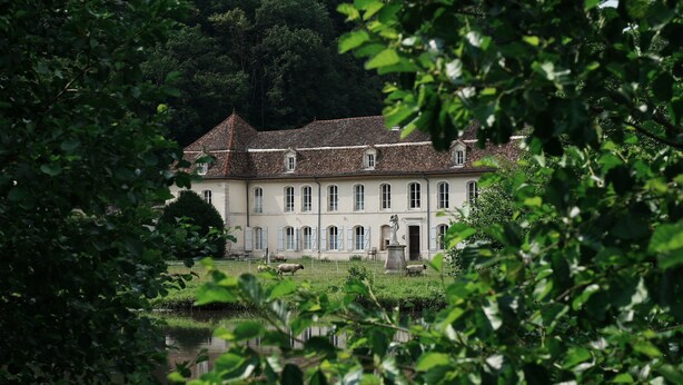 A large, historic building with multiple windows and a symmetrical facade, surrounded by lush greenery and a body of water. - Domaine 'Gîte De L'Abbaye' with Private Pool, Private Terrace and Wi-Fi (Rollainville)