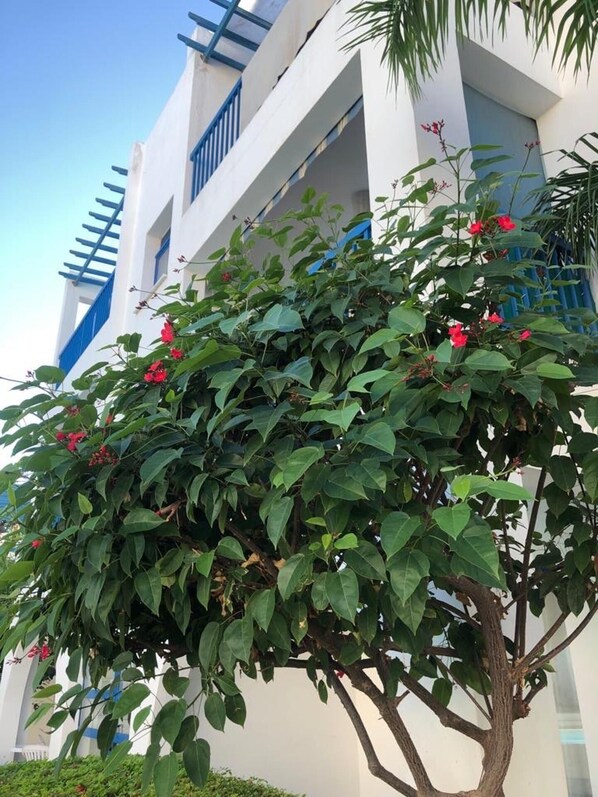 تفاصيل الفندق من الخارج