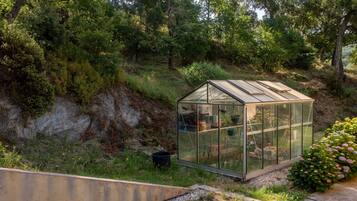 Terrein van de accommodatie