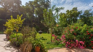 Un jardin agrémenté de plantes en pot, d’un barbecue et d’arbustes en fleurs.