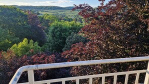 Une vue magnifique depuis un balcon doté d’une balustrade, donnant sur une vallée verdoyante parsemée d’arbres et de collines.