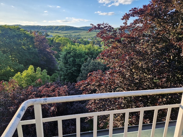 A scenic view from a balcony with a railing, overlooking a lush valley with trees and hills.