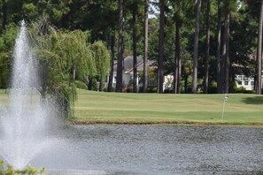 Leilighet, 1 soverom | Golf