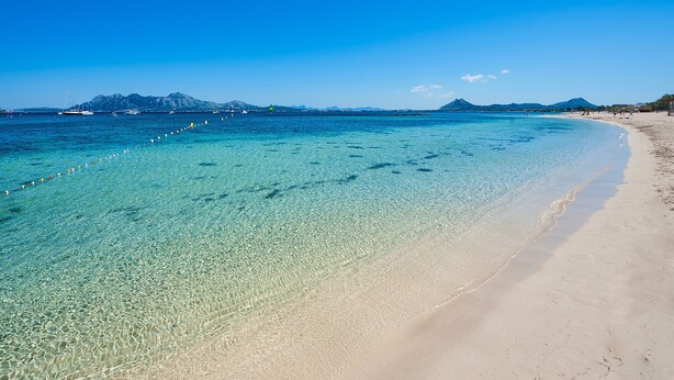 A beach with clear water, a sandy shore, and distant mountains. - Apartment 'Maina' with Sea View, Wi-Fi and Air Conditioning (Pollença)