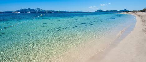 Una spiaggia nelle vicinanze