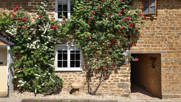 Une maison en pierre avec un toit de chaume, une fenêtre blanche et un rosier devant.