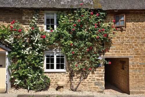Cosy 1-Bedroom Cottage Retreat in Oxfordshire