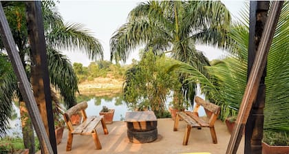 Bastar Birds Nest