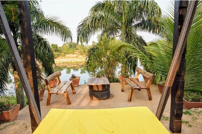 Bastar Birds Nest