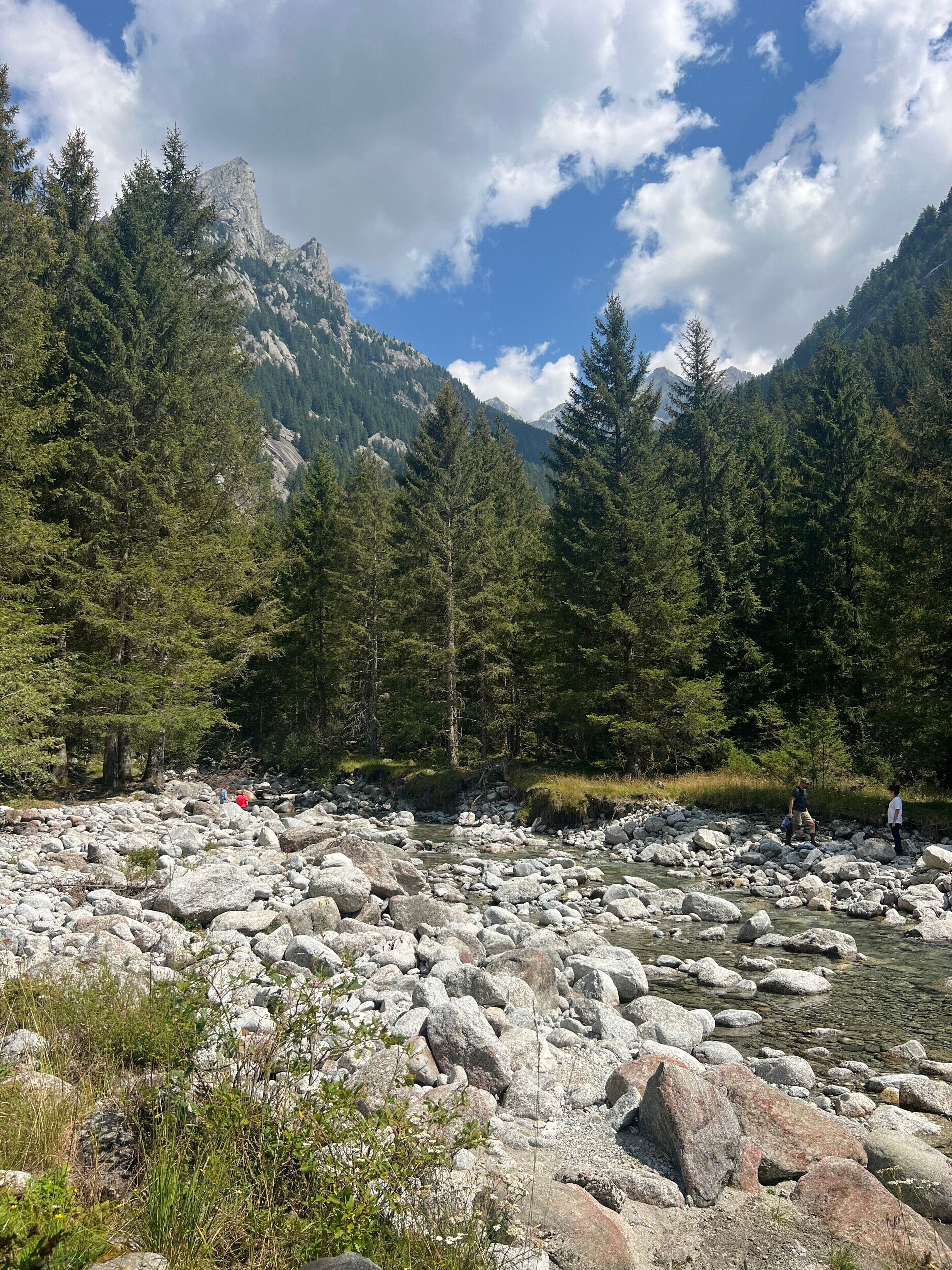 Un letto di fiume roccioso con alberi e montagne sullo sfondo.