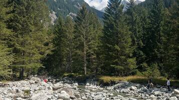 Un letto di fiume roccioso con alberi e montagne sullo sfondo.