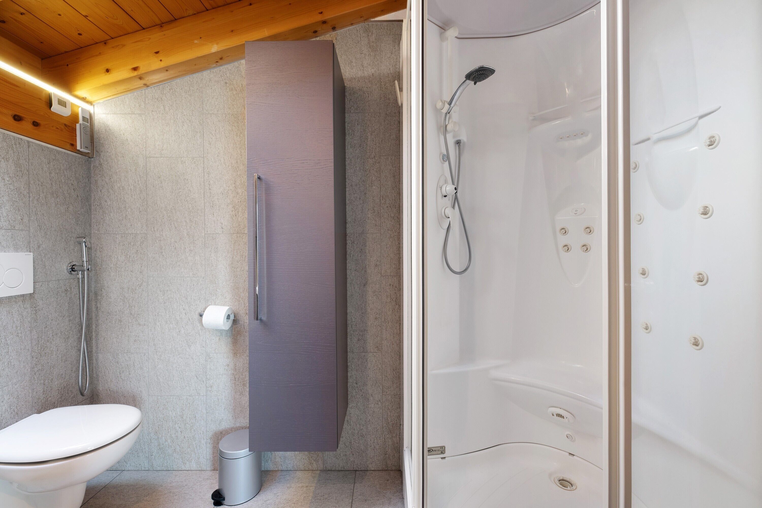 A modern bathroom with a toilet, shower, and a large mirror.