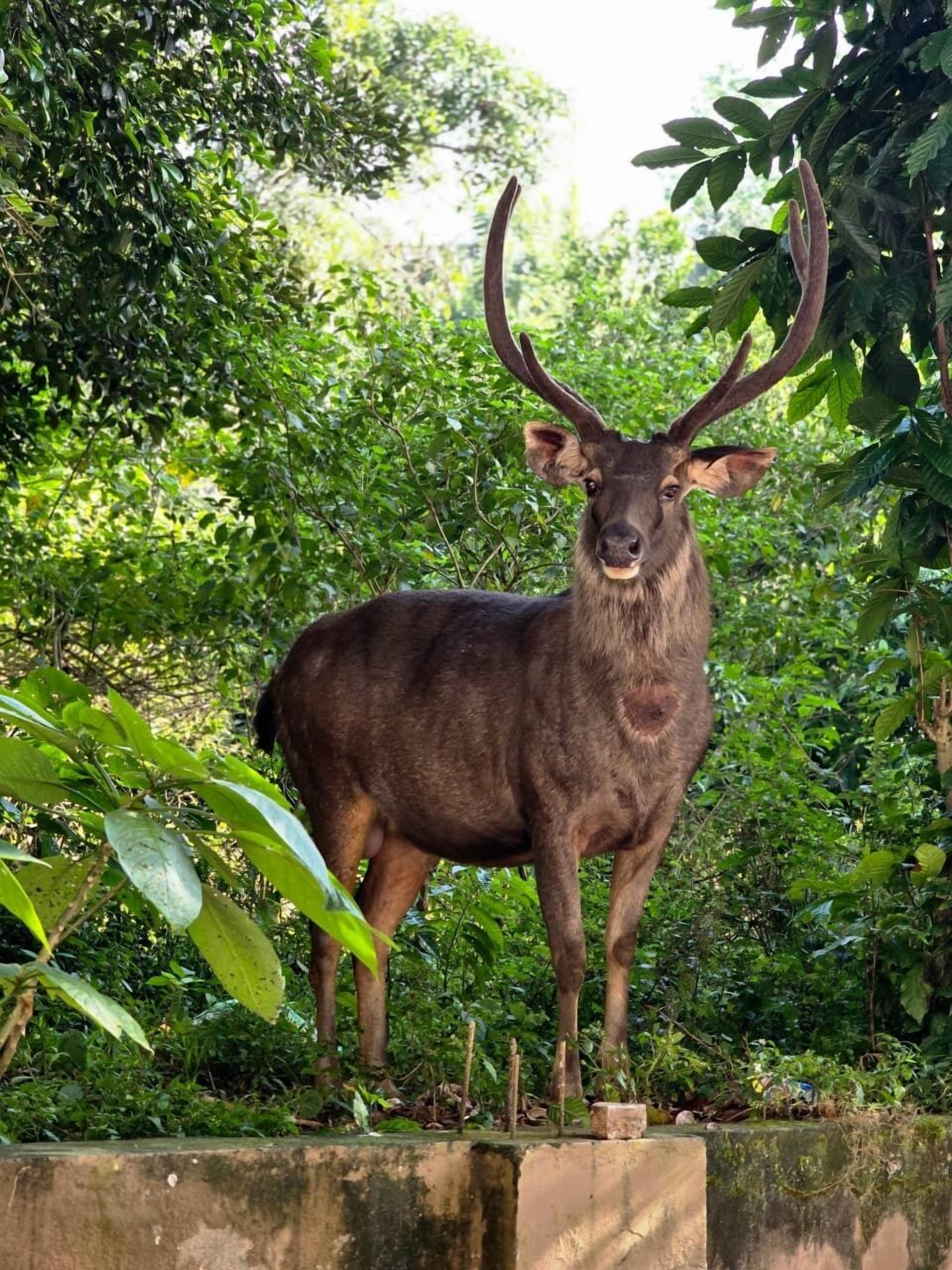 Deluxe Double Room, 1 King Bed, Balcony | Balcony view