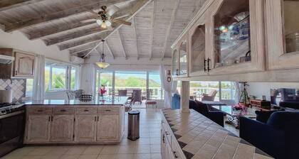 Caribbean luxurious comfort. Contemporary house, private garden and pool