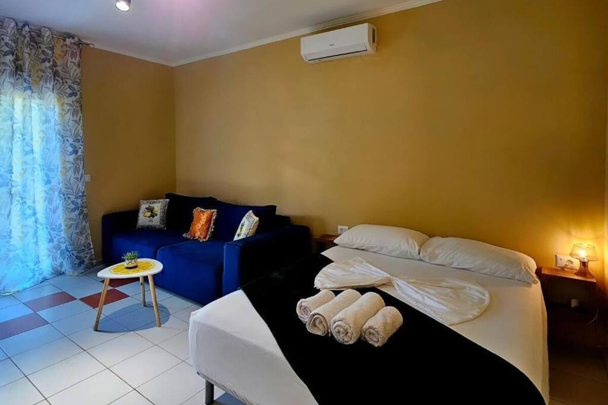 A hotel room with a bed, a blue sofa, a small table with a plant, and a window with curtains.