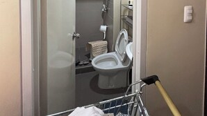 Et badeværelse med toilet, bruser og en glasdør til bruseområdet.