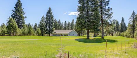 A house surrounded by a grassy field and tall pine trees.
